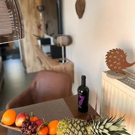 Gabriela Achtung Nur Feriengaeste Willkommen,es Ist Keine Arbeiterunterkunft Apartment Obernzell